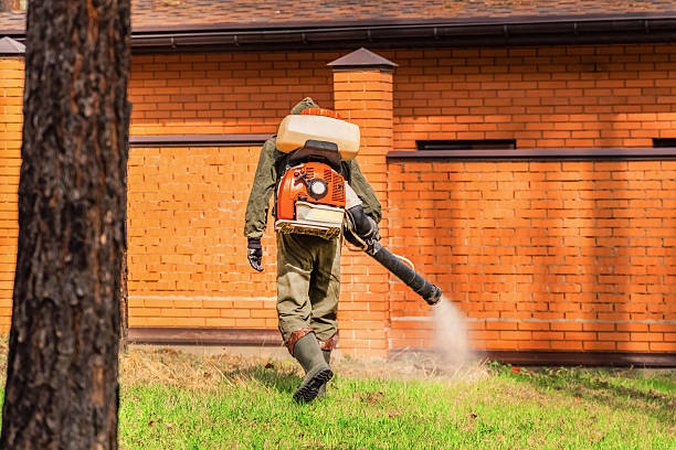 Bed Bug Clearance Verification and Documentation in Buena